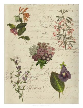 Postscript Flower Chart I