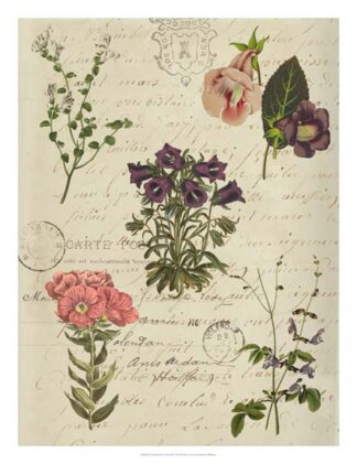 Postscript Flower Chart II