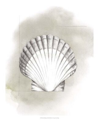 Shell Diagram II