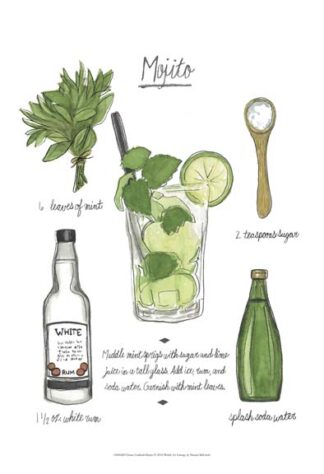 Classic Cocktail - Mojito