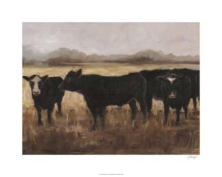 Black Cows I