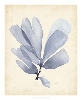 Watercolor Sea Grass II