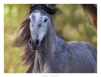 Horse in the Field I