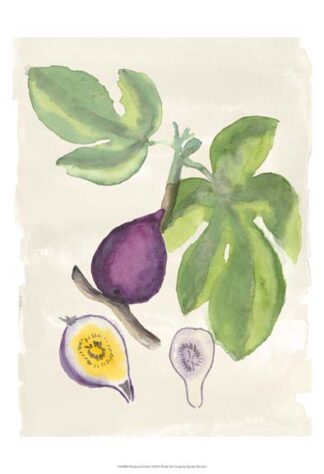 Watercolor Fruit I