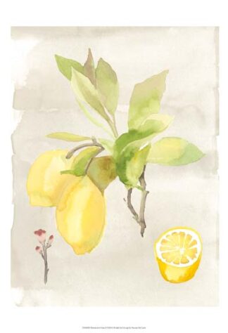 Watercolor Fruit II