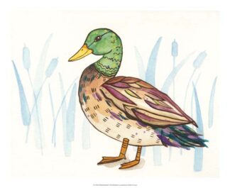 Wetland Mallard I