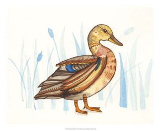 Wetland Mallard II