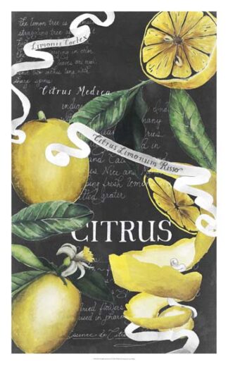 Chalkboard Citrus II