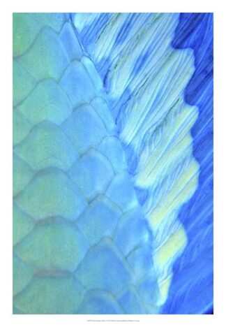 Solace - La Paz, Mexico