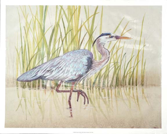 Heron & Reeds I