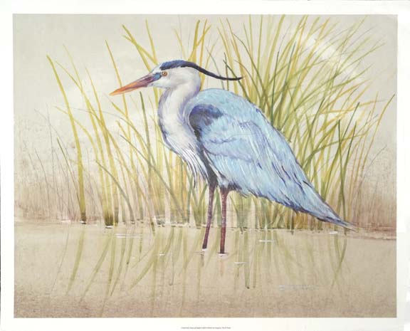 Heron & Reeds II
