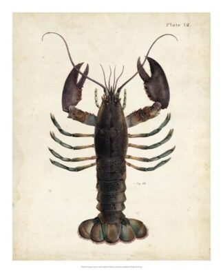 Vintage Lobster