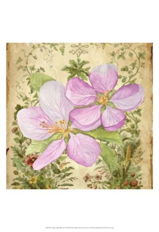 Vintage Apple Blossom I