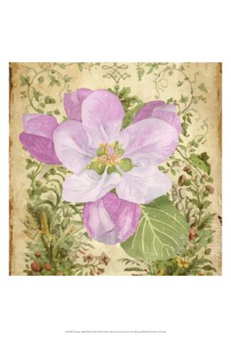 Vintage Apple Blossom II