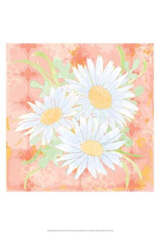 Daisy Patch Coral II