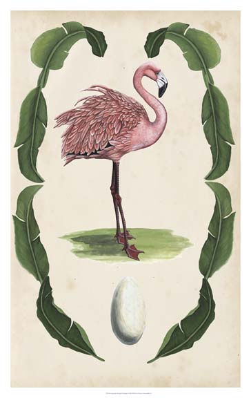 Antiquarian Menagerie - Flamingo I