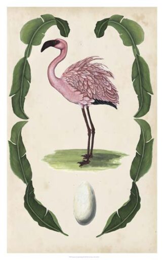 Antiquarian Menagerie - Flamingo II