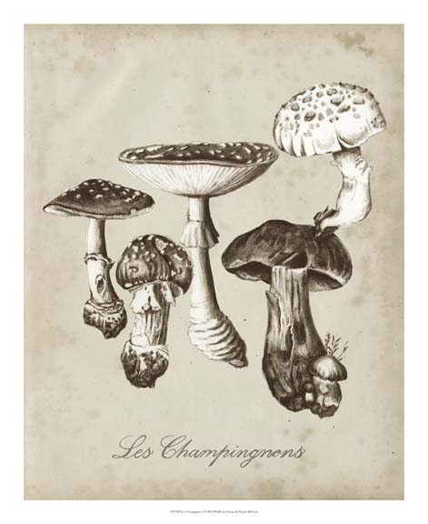 Les Champignons I