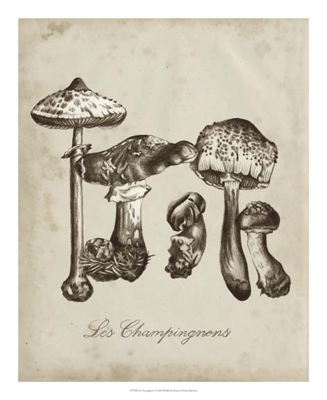 Les Champignons II