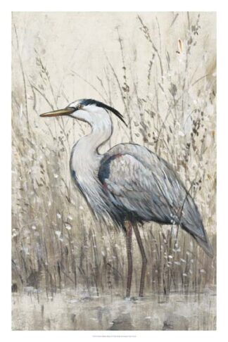 Hunt in Shallow Waters II