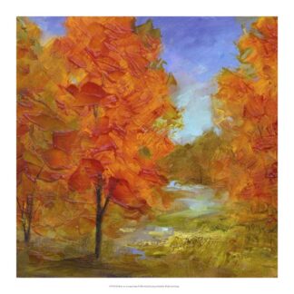 Burst of Autumn Color