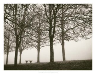 Trees in Fog VI