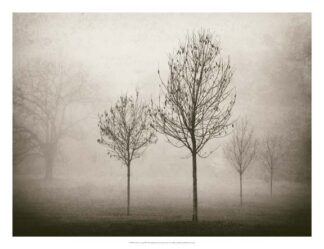 Trees in Fog VII
