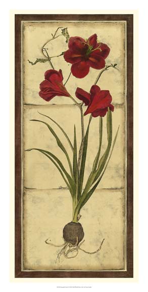 Amaryllis Panel I
