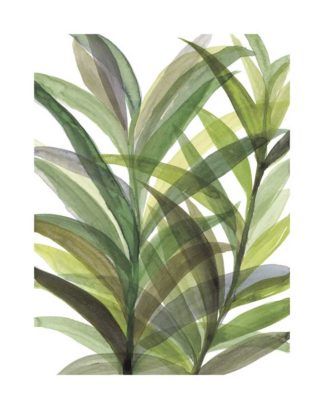 Tropical Greens II