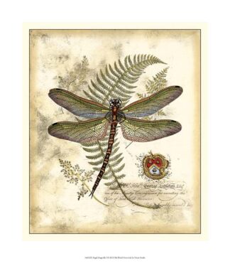 Regal Dragonfly I