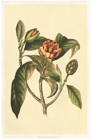 Crackled Flourishing Foliage I