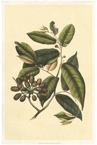 Crackled Flourishing Foliage III