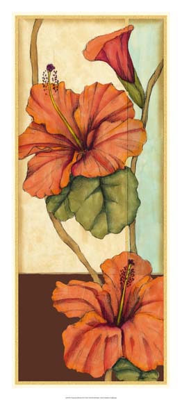 Peacock Hibiscus III