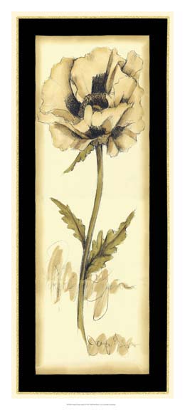 Neutral Poppy Study II