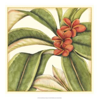 Tropical Blooms and Foliage I