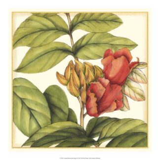 Tropical Blooms and Foliage III