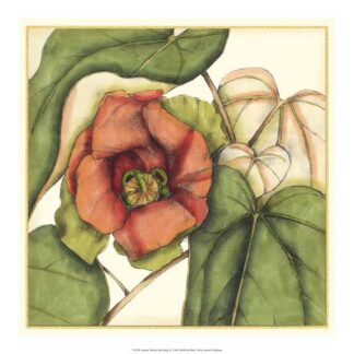 Tropical Blooms and Foliage IV