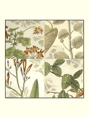 Botanical Quadrant I