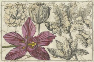 Embellished Arena Botanical IV