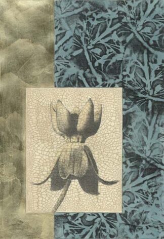 Embellished Nature's Vignette II