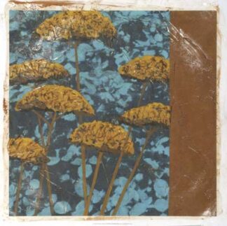 Golden Yarrow II