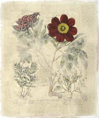 Peony Fresco II