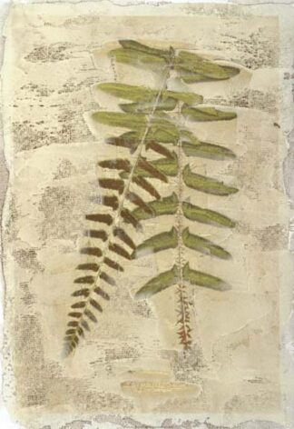 Fern Fresco II