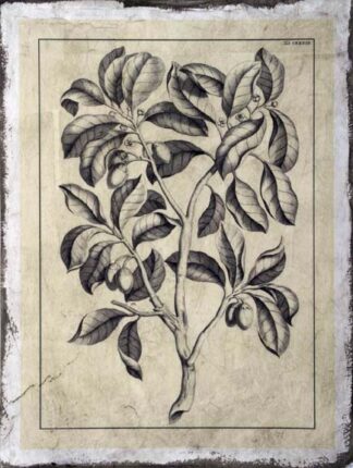Embellished Antique Foliage I