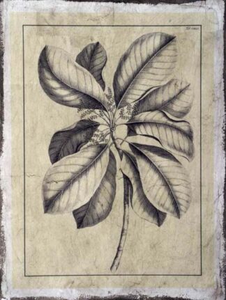 Embellished Antique Foliage II