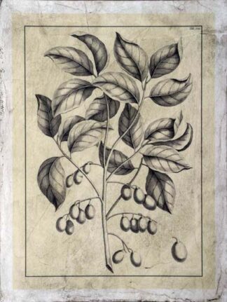 Embellished Antique Foliage V