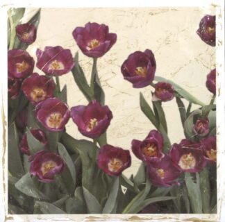 Spring Tulips I