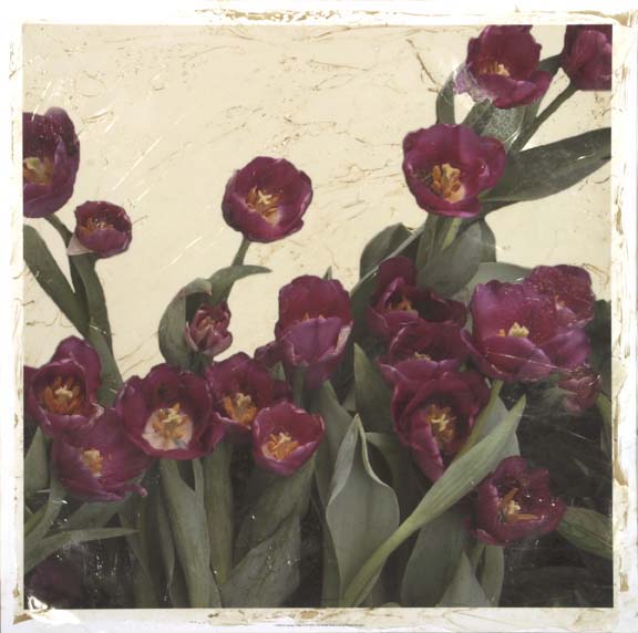 Spring Tulips II