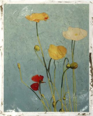 Embellished Poppies I