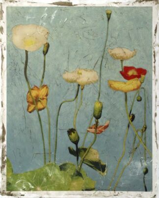 Embellished Poppies II